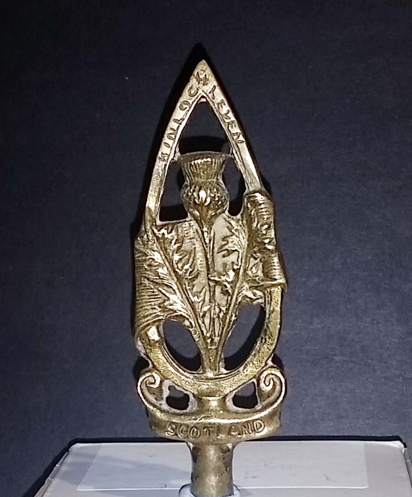 (image for) Scottish Thistle Tiller Pin